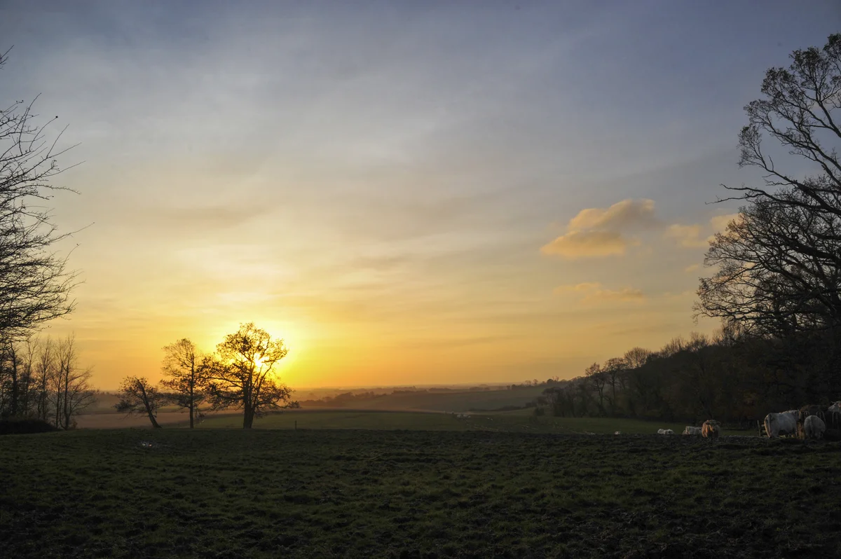 Paysage et nature